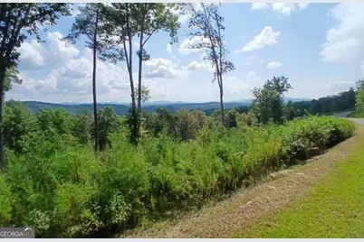 Lot 23 Mountain Laurel Ridge, Mineral Bluff, GA 30559 - Photo 8