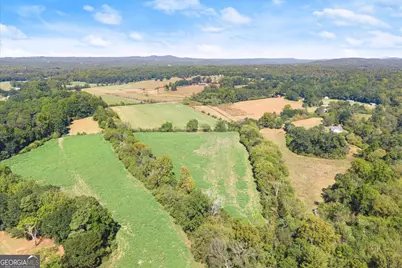 0 Moss Farm, Alto, GA 30510 - Photo 10