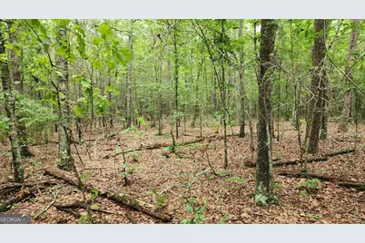 143 Highway 341 S, Barnesville, GA 30204 - Photo 8