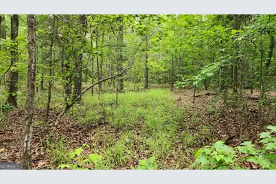 143 Highway 341 S, Barnesville, GA 30204 - Photo 12