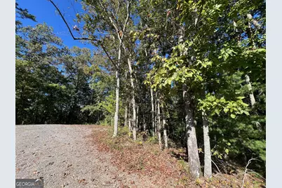 0000 Rebekah Rodge Road, Talking Rock, GA 30175 - Photo 6