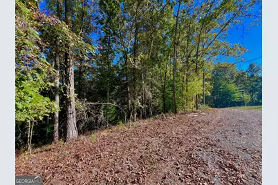 0000 Rebekah Rodge Road, Talking Rock, GA 30175 - Photo 28