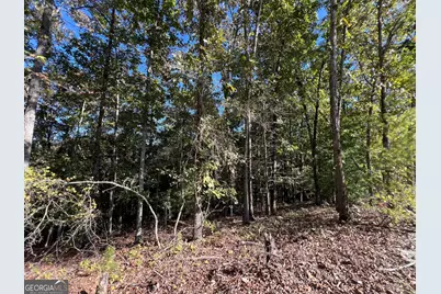 0000 Rebekah Rodge Road, Talking Rock, GA 30175 - Photo 2