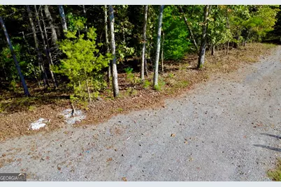 0000 Rebekah Rodge Road, Talking Rock, GA 30175 - Photo 30