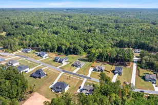 80 Sagebrook Ln, Newnan, GA 30263 - Photo 64