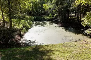 621 Old River Rd, Juliette, GA 31046 - Photo 48