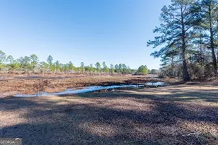 832 Ramblin Rd, Quitman, GA 31643 - Photo 32