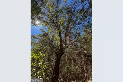 0 Sam Bradley, Americus, GA 31709 - Photo 18