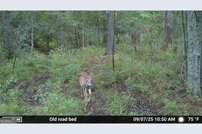 0 Sam Bradley, Americus, GA 31709 - Photo 30