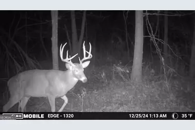 0 Sam Bradley, Americus, GA 31709 - Photo 36