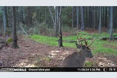 0 Sam Bradley, Americus, GA 31709 - Photo 28