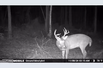 0 Sam Bradley, Americus, GA 31709 - Photo 38