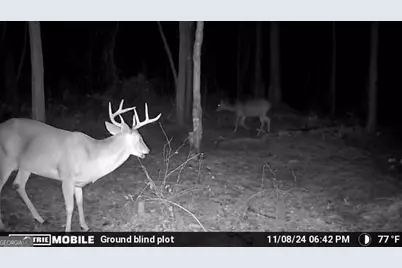 0 Sam Bradley, Americus, GA 31709 - Photo 24