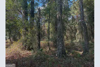 0 Sam Bradley, Americus, GA 31709 - Photo 14