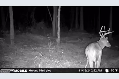 0 Sam Bradley, Americus, GA 31709 - Photo 26