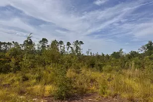 489 New Normantown Rd, Vidalia, GA 30474 - Photo 1