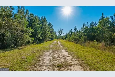 991 Flatwoods Trail, Glennville, GA 30427 - Photo 64