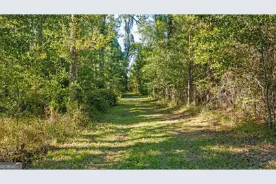 991 Flatwoods Trail, Glennville, GA 30427 - Photo 58