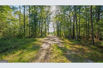 991 Flatwoods Trail, Glennville, GA 30427 - Photo 60