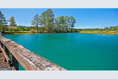 991 Flatwoods Trail, Glennville, GA 30427 - Photo 110
