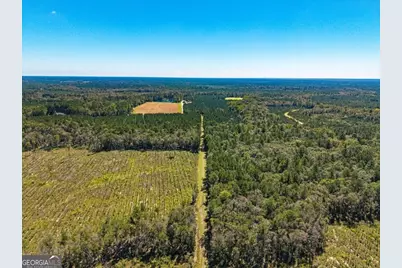 991 Flatwoods Trail, Glennville, GA 30427 - Photo 22