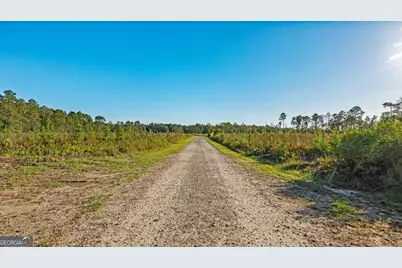 991 Flatwoods Trail, Glennville, GA 30427 - Photo 8
