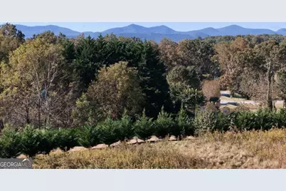 Tr 2 Arbor Acres Farm Road, Blairsville, GA 30512 - Photo 6