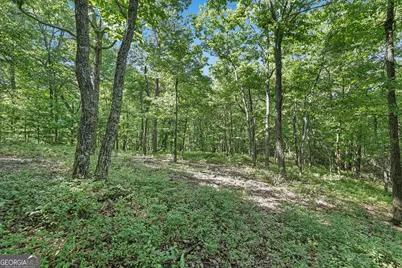 Lot 58 Mountain Sweet Drive, Clarkesville, GA 30523 - Photo 12