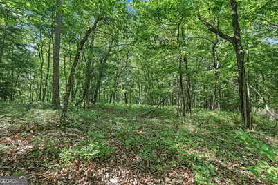Lot 59 Mountain Sweet Drive, Clarkesville, GA 30523 - Photo 14