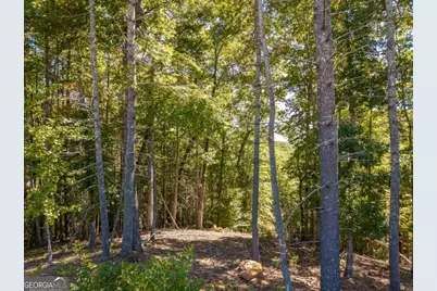 Lot 62 Ridge Drive #62, Blue Ridge, GA 30513 - Photo 6