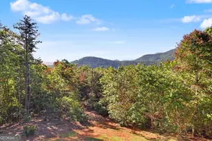 237 Flat Rock Ridge Rd, Blairsville, GA 30512 - Photo 26
