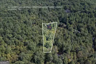 135 Morgan Trail, Epworth, GA 30541 - Photo 28