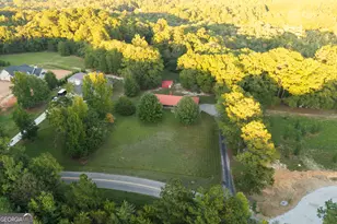 217 Forrester Cemetery Rd, Covington, GA 30014 - Photo 48