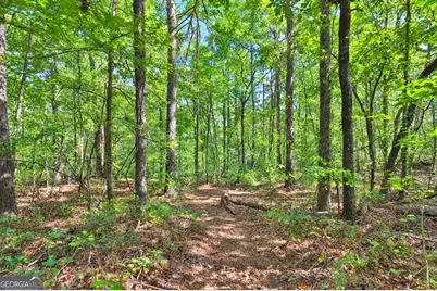 200 Prestigious Place, Senoia, GA 30276 - Photo 38