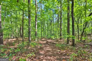 200 Prestigious Pl, Senoia, GA 30276 - Photo 38