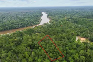 Lot 15 Moss Landing, Jesup, GA 31545 - Photo 1