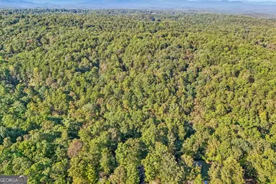 153 Hannahs Crossing Drive, Dahlonega, GA 30533 - Photo 54