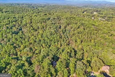 153 Hannahs Crossing Drive, Dahlonega, GA 30533 - Photo 46