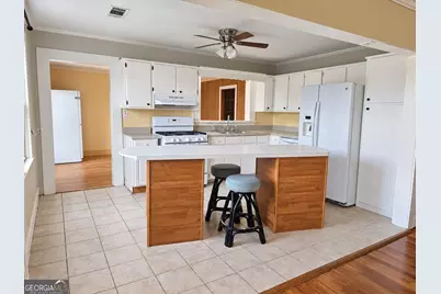 7056 Geneva Highway, Box Springs, GA 31801 - Photo 6