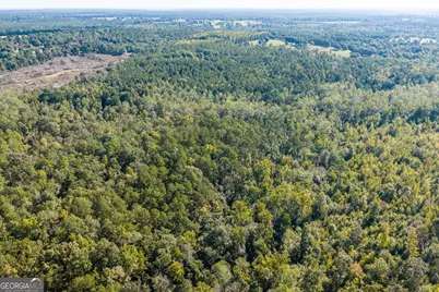 000 Corley Road, Hephzibah, GA 30815 - Photo 22