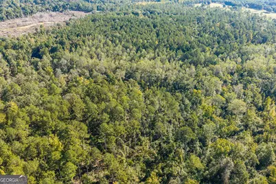 000 Corley Road, Hephzibah, GA 30815 - Photo 20