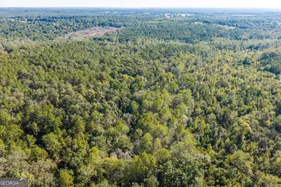 000 Corley Road, Hephzibah, GA 30815 - Photo 1
