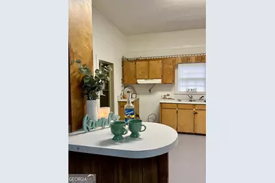 226 Griffin Avenue, Eastman, GA 31023 - Photo 52