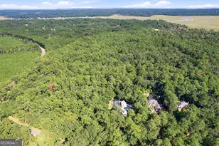 233 Buckland Hall Rd, Richmond Hill, GA 31324 - Photo 68