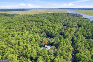 233 Buckland Hall Rd, Richmond Hill, GA 31324 - Photo 4