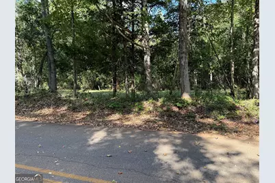 0 Hudson, Hamilton, GA 31811 - Photo 4