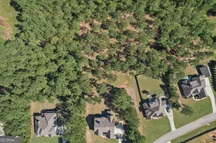 55 Fox Hall Crossing E, Senoia, GA 30276 - Photo 70