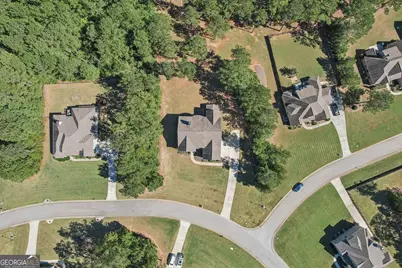55 Fox Hall Crossing E, Senoia, GA 30276 - Photo 66
