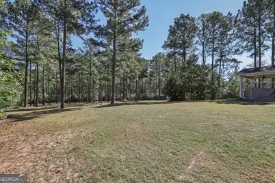 55 Fox Hall Crossing E, Senoia, GA 30276 - Photo 58