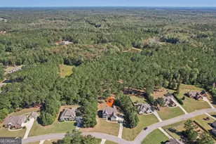 55 Fox Hall Crossing E, Senoia, GA 30276 - Photo 72